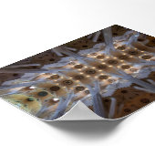 Poster Sagrada Familia (Coin)