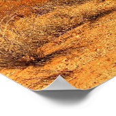 Poster Saguaro (Coin)