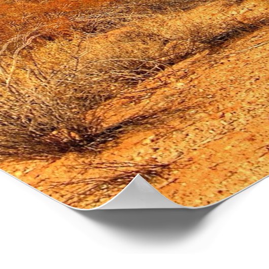 Poster Saguaro (Coin)