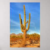 Poster Saguaro (Devant)