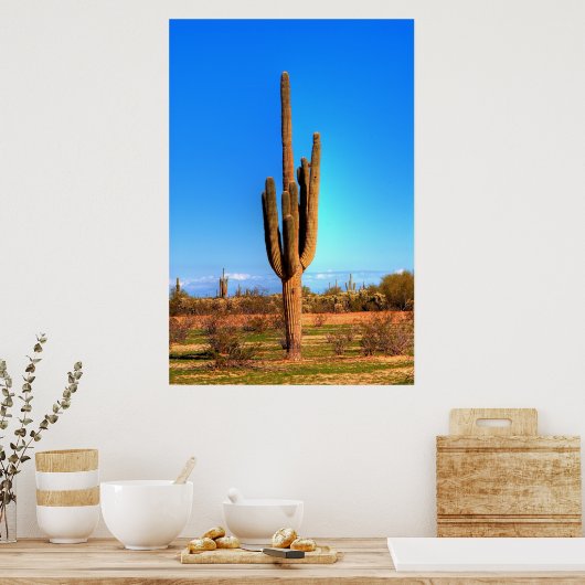 Poster Saguaro (Cuisine)