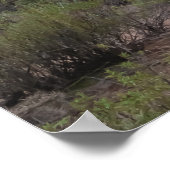 Poster Saguaro au coucher du soleil (Coin)