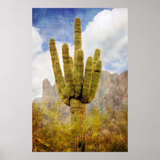Poster Saguaro Cactus (Devant)