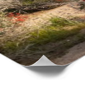 Poster Saguaro Cactus, Arizona, USA (Coin)