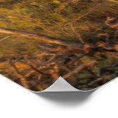 Poster Saguaro cactus at sunset (Coin)