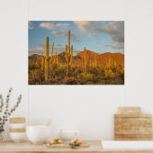 Poster Saguaro cactus at sunset (Cuisine)