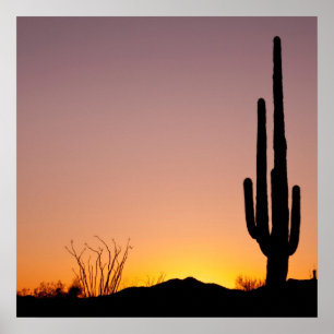 Poster Saguaro Cactus au coucher du soleil