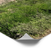 Poster Saguaro Cactus Blue Skies Arizona Photo (Coin)