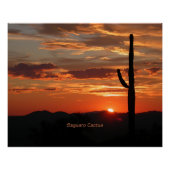 Poster Saguaro Cactus, coucher du soleil (Devant)
