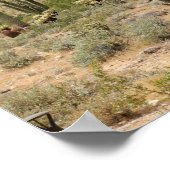 Poster Saguaro Cactus dans le désert de l'Arizona Couleur (Coin)