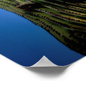 Poster Saguaro Cactus High  Postcard (Coin)