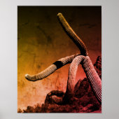 Poster Saguaro Cactus Photographie d'art en style rustiqu (Devant)