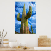 Poster Saguaro cactus portrait, Arizona (Cuisine)