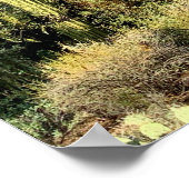 Poster Saguaro Cactus Winter Arizona Photo (Coin)