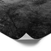 Poster Saguaro noir et blanc épais Cactus 16x20 (Coin)