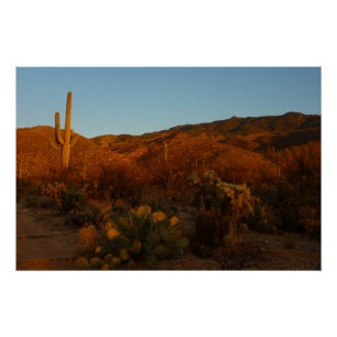 Poster Saguaro Sunset I Arizona Désert Paysage