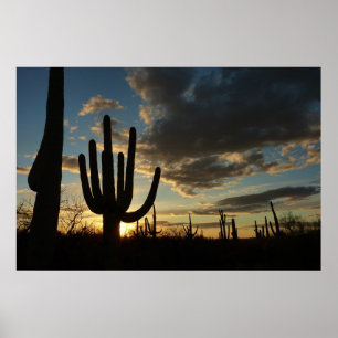 Poster Saguaro Sunset II Arizona