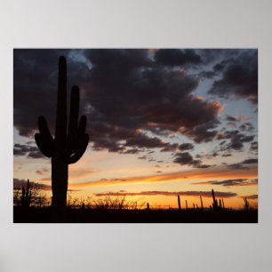 Poster Saguaro Sunset III Arizona Desert Landscape