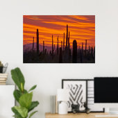 Poster Saguaro, sunset, Saguaro National Park (Bureau à domicile)