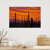 Poster Saguaro, sunset, Saguaro National Park (Cuisine)