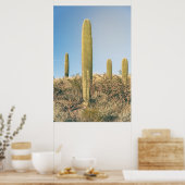 Poster Saguaros (Cuisine)
