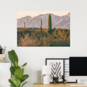 Poster Saguaros (Bureau à domicile)