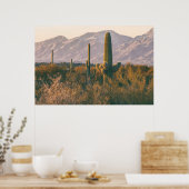 Poster Saguaros (Cuisine)