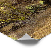 Poster Saguaro's Carillo Trail in Saguaro National Park (Coin)