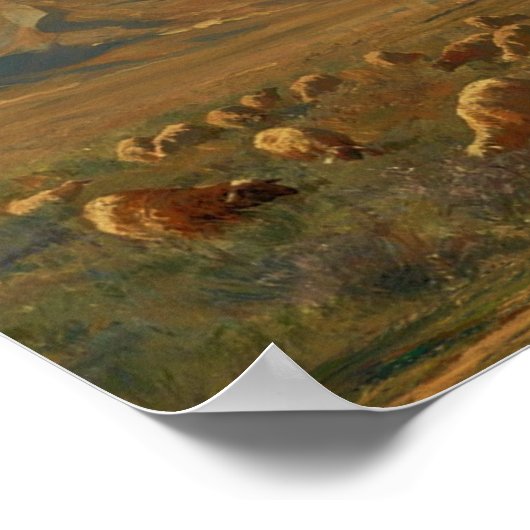 Poster Sahara (Coin)