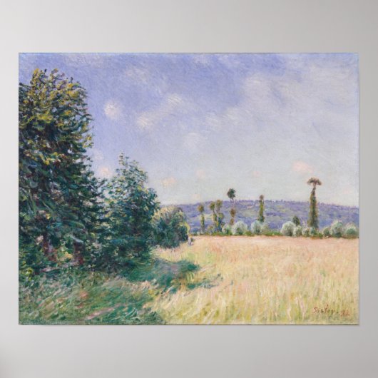 Poster Sahurs Meadows dans le soleil du matin (Devant)