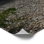 Poster Sailboat à la distance de St Thomas (Coin)