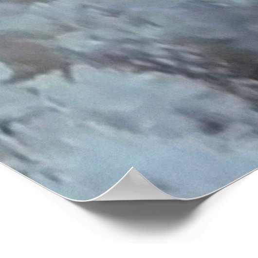 Poster Sailfin Tang (Coin)