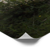 Poster Sailing Boat Reflection From the Sunset (Coin)