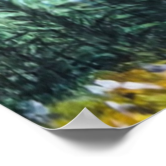 Poster Saint Augustine (Coin)