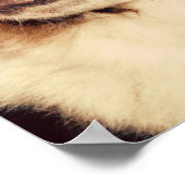 Poster Saint Bernard (Coin)