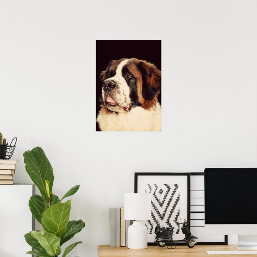 Poster Saint Bernard (Bureau à domicile)