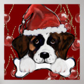 Poster Saint Bernard  (Devant)