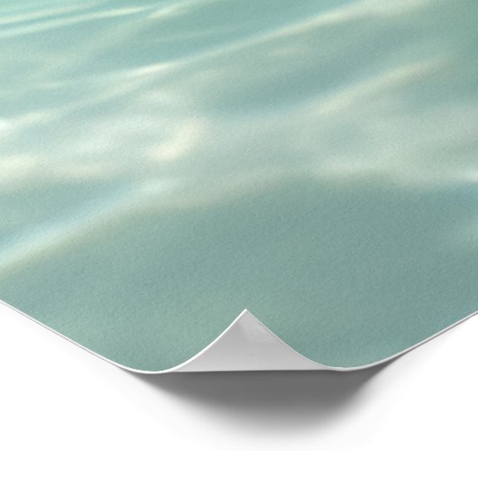 Poster Saint Bernard Animaux Chien Animaux Plaisir Jouer (Coin)