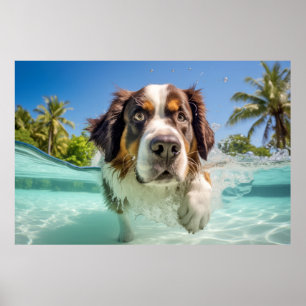 Poster Saint Bernard Animaux Chien Animaux Plaisir Jouer