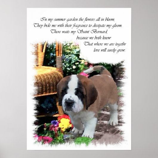 Poster Saint Bernard Art Cadeaux (Devant)