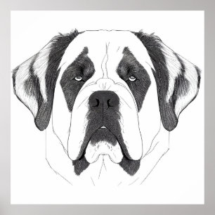 Poster Saint Bernard Chien Nature sauvage Illustration an