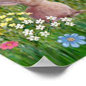 Poster Saint François Bénissant Dix Chiens (Coin)