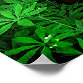 Poster Saint François d'Assise (Coin)