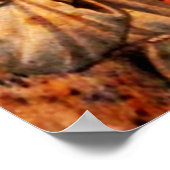 Poster Saint François d'Assise - San Francisco de Asis 16 (Coin)