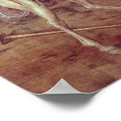 Poster Saint George et le Dragon (Coin)