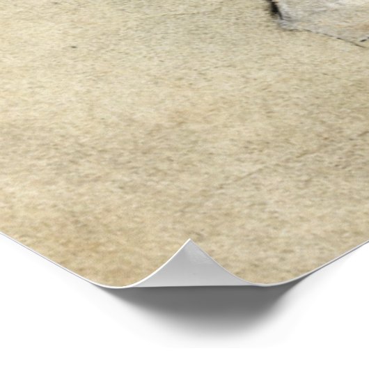 Poster Saint Hedwig (Coin)