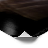 Poster Saint Jacques, Whelk, Etoile de mer (Coin)