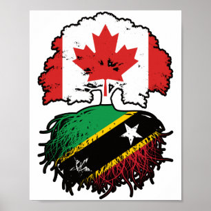 Poster Saint-Kitts-Kittiti Canadian Canada Arbre Racines