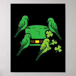 Poster Saint Patrick Jour Oiseaux Casquettes Saint Paddys