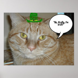 Poster Saint Patrick's Day Orange Tabby Cat